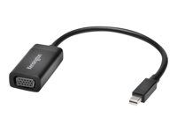 Nástroj pro převod videa - DisplayPort - VGA - černá