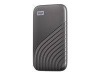SSD - šifrovaný - 4 TB - externí (přenosný) - USB 3.2 Gen 2 (USB-C konektor) - AES 256 bitů - šedá