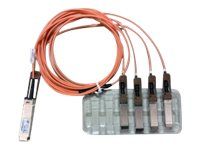 Síťový kabel - QSFP (M) do SFP+ (M) - 1 m - aktivní - béžová - pro Nexus 2348, 31XX, 93XX, 93XXX, X97160, X9736; ONE Nexus 32XX, 92XX, 93XXX; UCS C4200