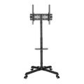 SBOX FS-224-2, TV Floor stand on wheels