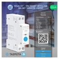 NOUS D1T, Tasmota DIN SMART Switch, přepínač