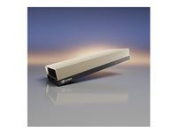 NVIDIA L40S - Grafický počítačový procesor - NVIDIA L40S - 48 GB - PCIe - pro P/N: UCSX-440P-D-U, UCSX-440P-NEW-D, UCSX-9508-D-U