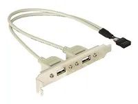 Panel USB - USB záhlaví 10 pinů (M) do USB (F) - 30 cm