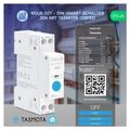 NOUS D2T, Tasmota DIN SMART Switch, spínač