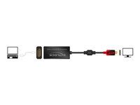 Thunderbolt adaptér - USB-C (M) do DisplayPort (F) - 20 cm - černá