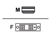 Video adaptér - Mini DisplayPort (M) do DVI-D (F)