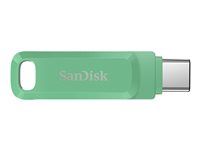 Jednotka USB flash - 128 GB - USB 3.2 Gen 1 / USB-C - zelená absinthe