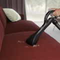 ELECTROLUX PD82-ANIMA, ruční vysavač