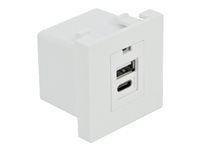 Easy 45 USB Charging Port Module 1 x Typ