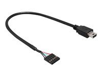 Adaptér z USB interní na externí - mini-USB typ B (M) do 5kolíkový konektor USB 2.0 (F) - 30 cm - černá