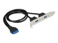 Panel USB - USB typ A (F) do 19 pin USB 3.0 header (F) - pro Delock Converter M.2