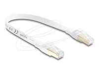 Delock - Patch kabel - RJ-45 (M) do RJ-45 (M) - 25 cm - U/FTP - CAT 8.1 - plochý, rychlost prenosu dat až 40 Gbps, lisovaný, provedení bez hrbolku - bílá