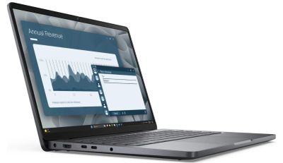 Dell Pro 14/PC14255/R5-220/14"/WUXGA/8GB/512GB/AMD int/W11P/Gray/3R NBD