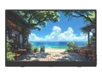 LED monitor - 15.6" - přenosný - 1920 x 1080 Full HD (1080p) @ 60 Hz - IPS - 200 cd/m² - 1200:1 - 10 ms - HDMI, 2xUSB-C - reproduktory