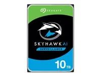 Pevný disk - 10 TB - interní - 3.5" - SATA 6Gb/s - 7200 ot/min. - vyrovnávací paměť: 256 MB