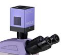 Fluorescenční digitální mikroskop MAGUS Lum D450L