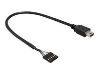 Adaptér z USB interní na externí - mini-USB typ B (M) do 5kolíkový konektor USB 2.0 (F) - 30 cm - černá