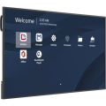 VIEWSONIC CDE6514-2C, LED Panel 65" 4K UHD