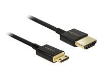 Kabel HDMI s ethernetem - 19 pin mini HDMI Type C s piny (male) do HDMI s piny (male) - 25 cm - trojnásobně stíněná kroucená dvoulinka - černá - podporuje 4K