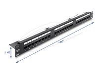 Delock 19  1U Patch Panel 24 port Cat.6