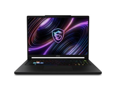 MSI Raider/16 Max HX B2WJ-267CZ/U9-290HXP/16"/QHD/64GB/2TB/RTX 5090/W11P/Black/2R