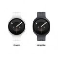 SAMSUNG Galaxy Watch9 LTE 40mm, Graphite