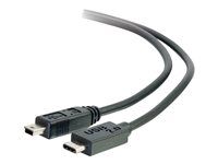 USB C Cable Black - USB kabel - mini-USB typ B (M) do USB-C (M) - USB 2.0 - 4 m - černá