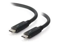 USB C Thunderbolt 3 Cable - 100W Power Delivery - 20Gbps - Black - M/M - Kabel Thunderbolt - USB-C (M) do USB-C (M) - USB 3.1 Gen 2 / Thunderbolt 3 / DisplayPort - 91.4 cm - podporuje 4K - černá