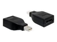 Adaptér DisplayPort - Mini DisplayPort (M) do DisplayPort (F) - černá