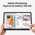 SAMSUNG Galaxy Tab S12+ 12/256GB Wi-Fi, Gray