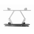 GEMBIRD WM-55ST-04, TV Držák na stěnu, 32"-55"