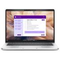 DELL Pro 13 Plus 13.3" D FHD+U5 236V/1/5/I/W11P