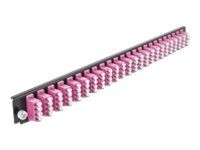 19  Splice Box Front Panel 24 port LC Qu