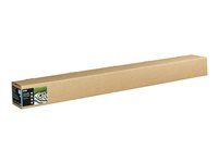 Bavlna - hladký matný - 490 mikronů - přírodní - role (162,6 cm x 15 m) - 300 g/m² - 1 role bavlněný papír - pro SureColor SC-P20000, SC-P20000SE