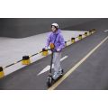 Ninebot by Segway KickScooter E3 Pro E