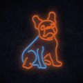 MANTA Pes buldoček, LED Neon plexi dekorace