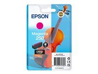 Epson 250 - 4.8 ml - purpurová - originální - blistr - inkoustová cartridge - pro P/N: C11CL95401, C11CL95402