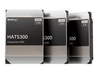 Pevný disk - 12 TB - interní - 3.5" - SATA 6Gb/s - 7200 ot/min. - vyrovnávací paměť: 256 MB - pro Deep Learning NVR DVA3221; Disk Station DS1621, DS1821; RackStation RS1221, RS3621, RS4021