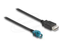 Cable HSD Z female to USB 2.0 Type-A fem