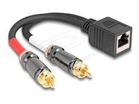 Adapter Cable RJ45 jack to 2 x RCA male
