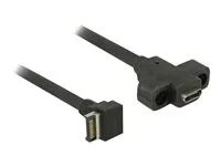 Cable USB 10 Gbps Type-E Key A 20 pin ma