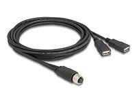 M12 Cable A-coded 8 pin female to 2 x US