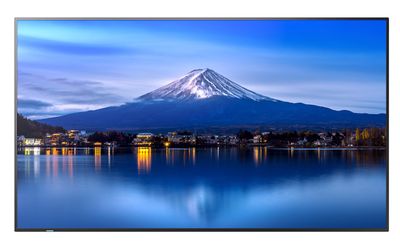 55" LED SHARP P556,3840 x 2160,IPS,24/7,700cd