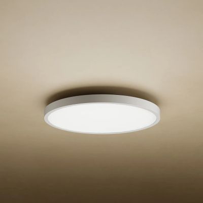 Xiaomi Mi Smart LED Ceiling Light D20