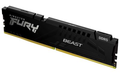 Kingston FURY Beast EXPO/DDR5/32GB/5600MHz/CL40/1x32GB/Black
