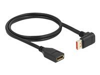 DisplayPort extension cable male 90° dow