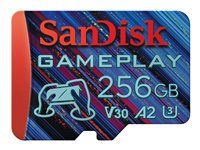 Paměťová karta flash - 256 GB - A2 - microSDXC UHS-I