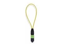 Single Mode MPO-12 Female Loopback Plug - LOOPBACKMTP12OS2SMF