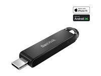 Jednotka USB flash - 64 GB - USB 3.1 Gen 1 / USB-C