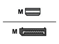 Adaptér DisplayPort - Mini DisplayPort (M) do DisplayPort (M)